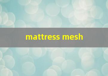  mattress mesh